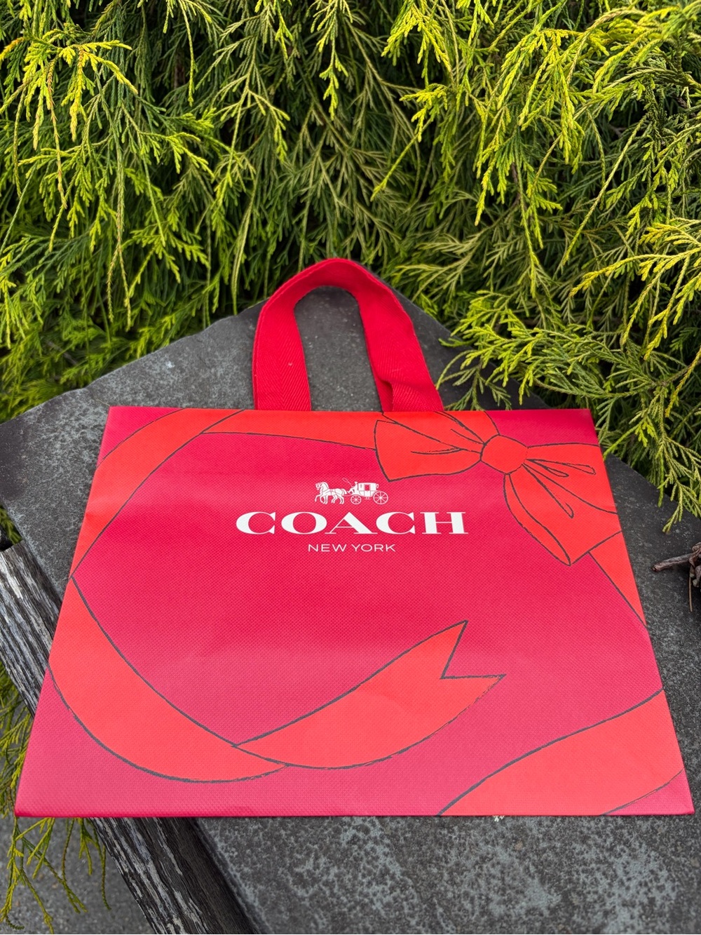 Coach Holiday Gift Bag